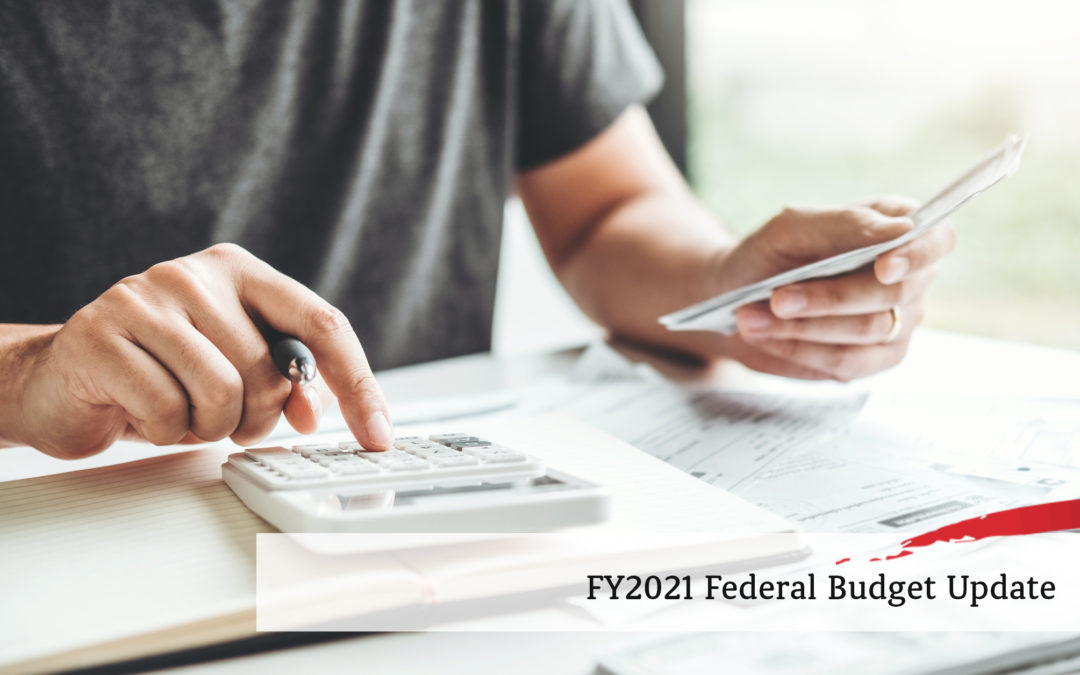 FY2021 Federal Budget Update