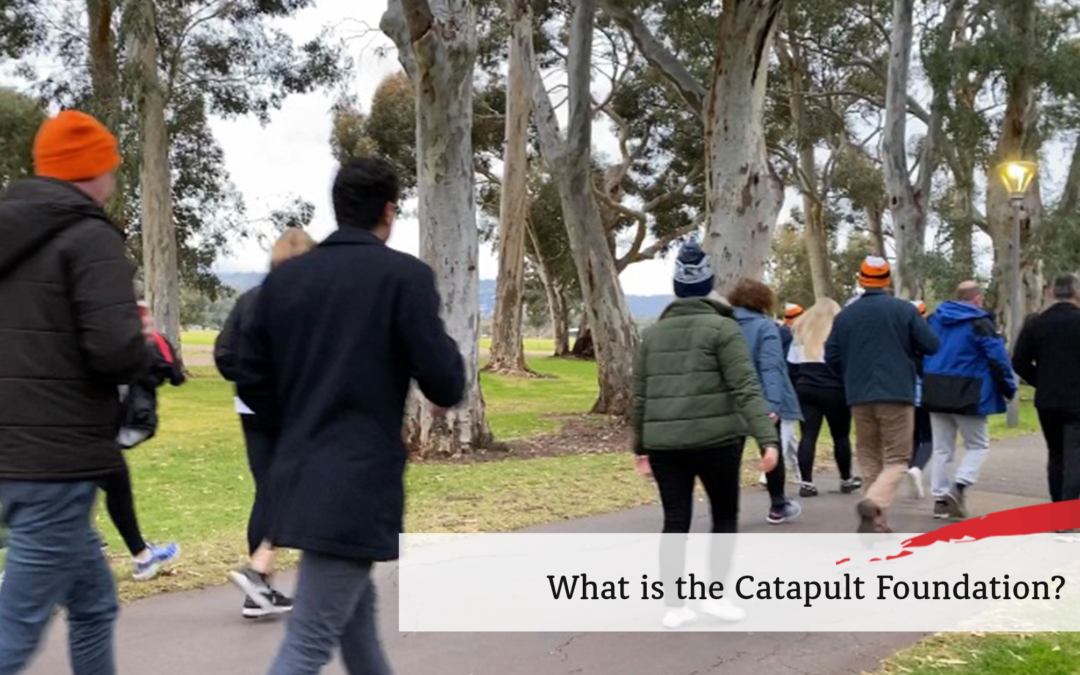 What is the Catapult Foundation?